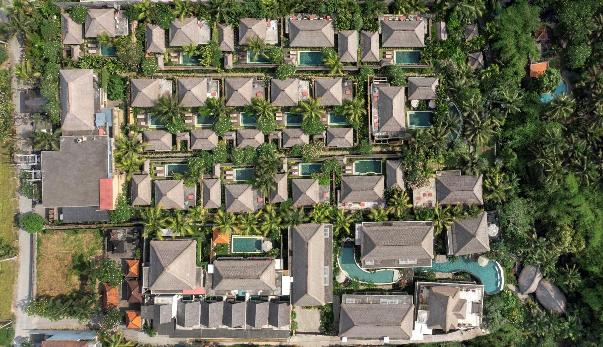 Ubud Nyuh Bali Resort & Spa Εξωτερικό φωτογραφία Aerial view of the resort