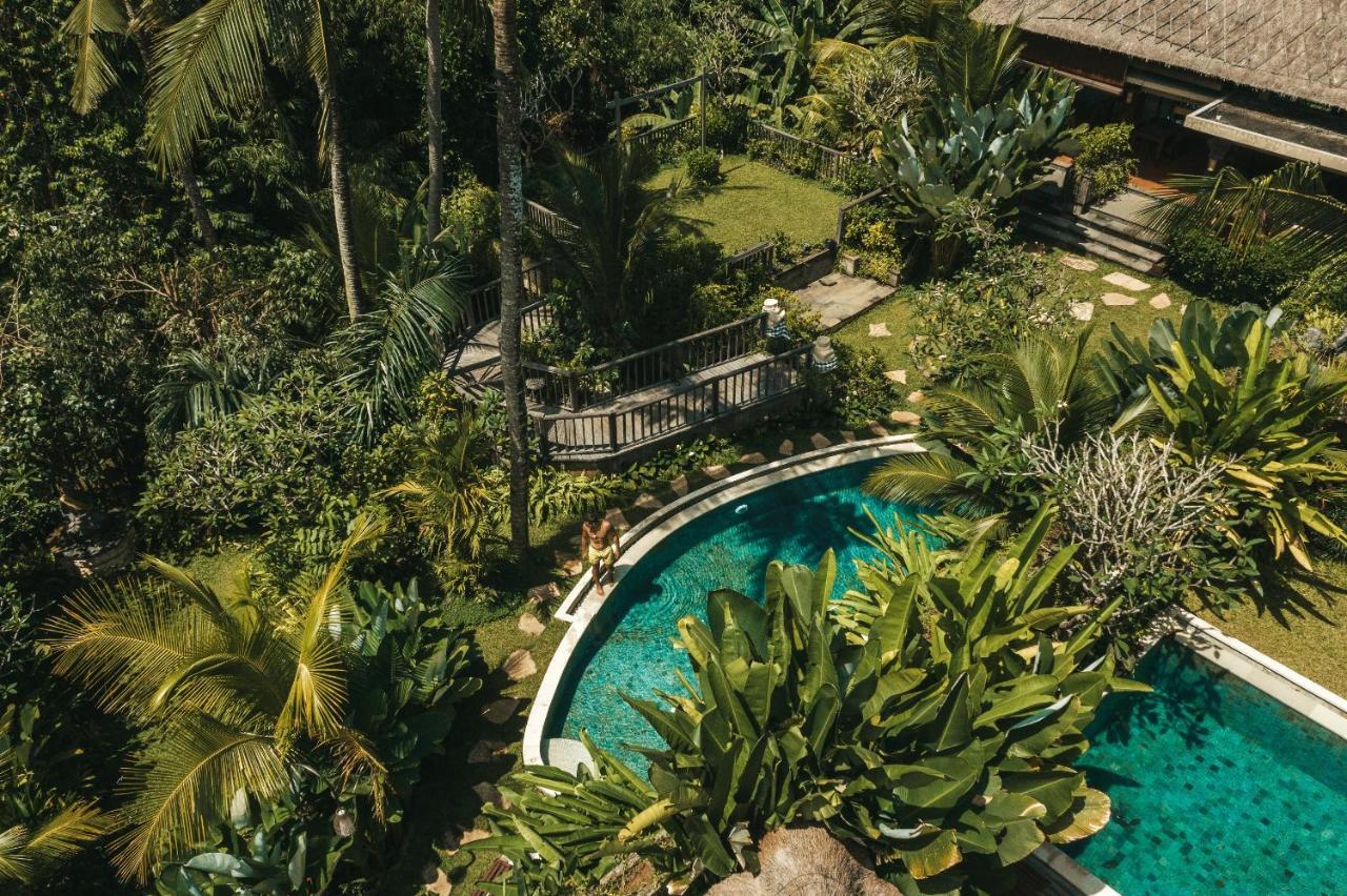 Ubud Nyuh Bali Resort & Spa Εξωτερικό φωτογραφία The swimming pool at the resort